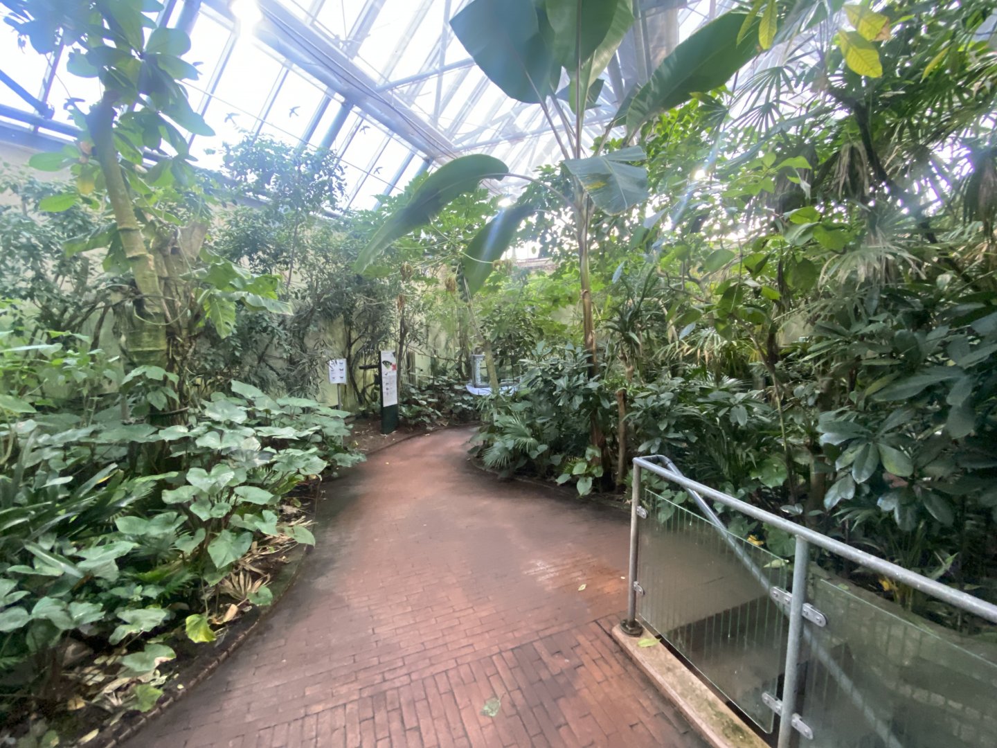 Tropezoo - second walkthrough aviary 261124