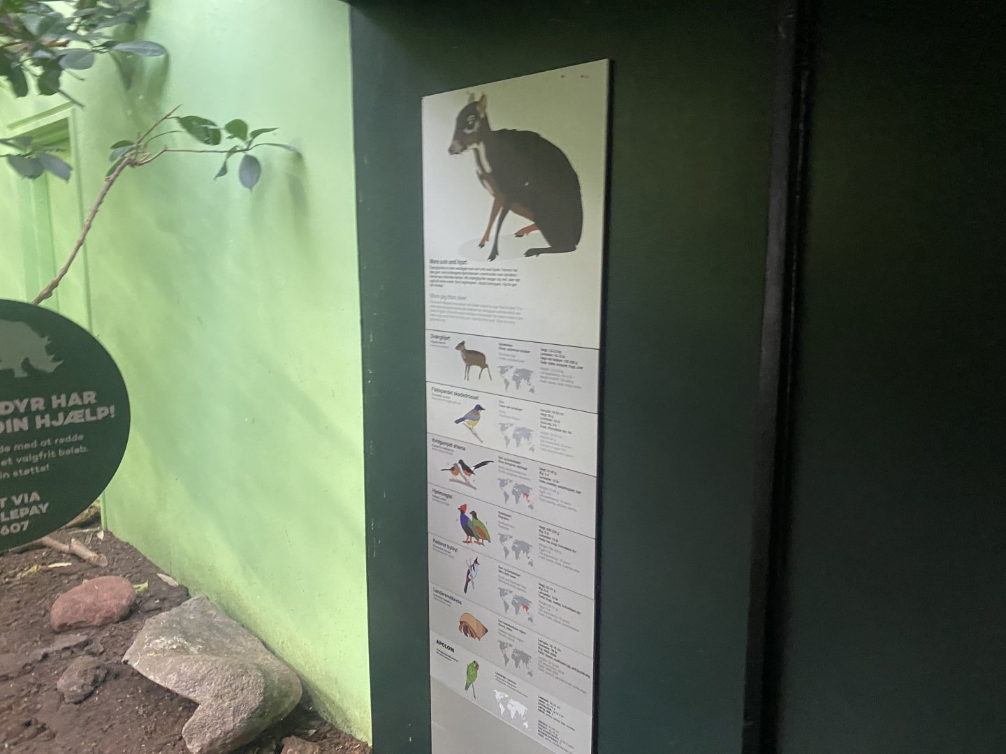 Tropezoo - Signage for mixed exhibit 261124