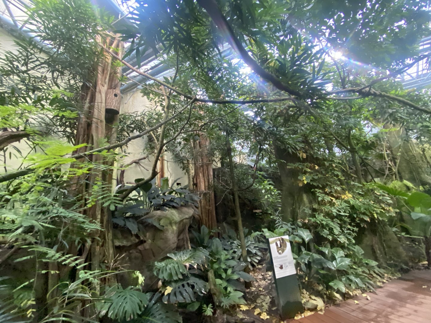 Tropezoo walkthrough aviary 261124