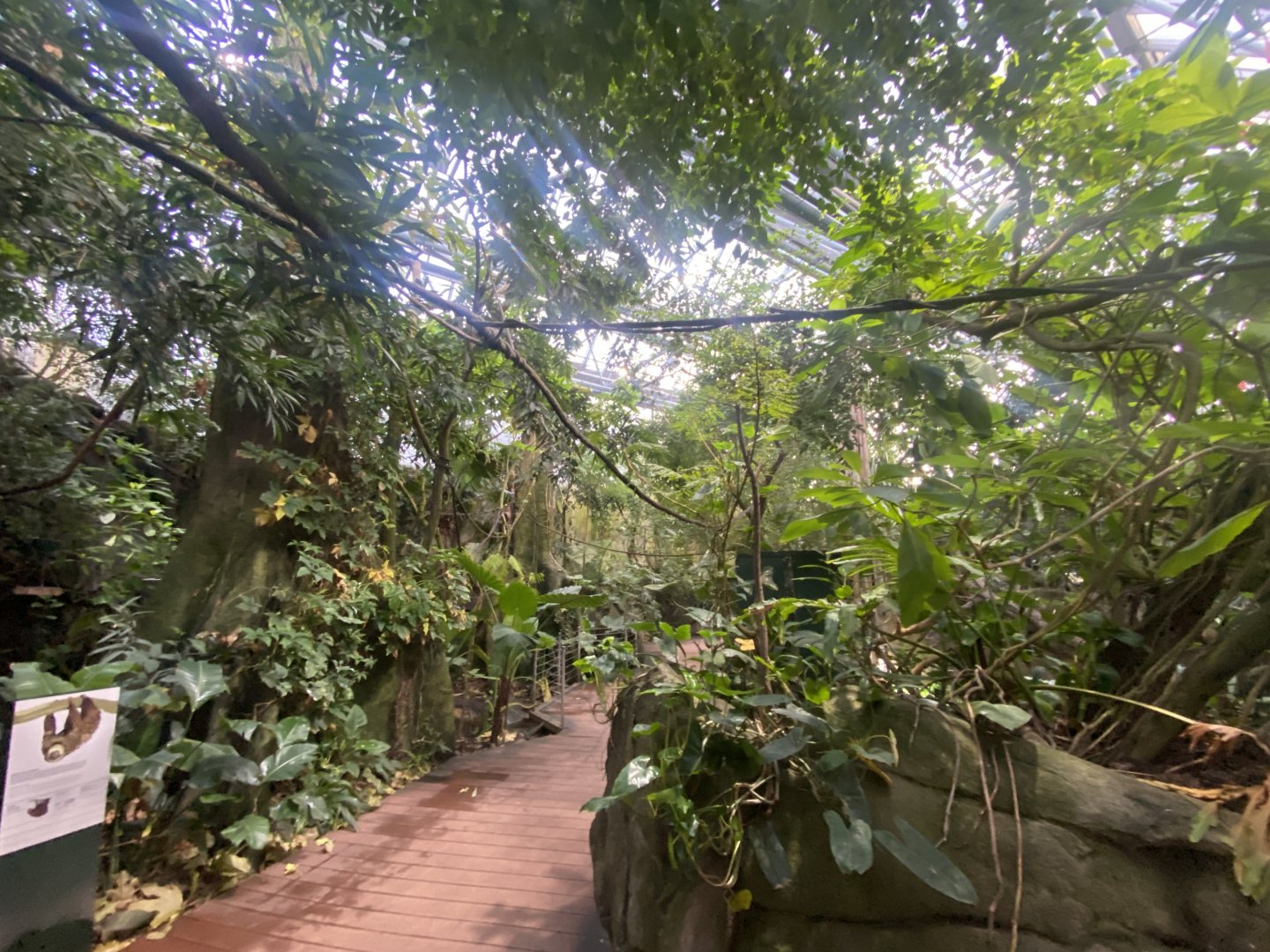 Tropezoo walkthrough aviary 261124