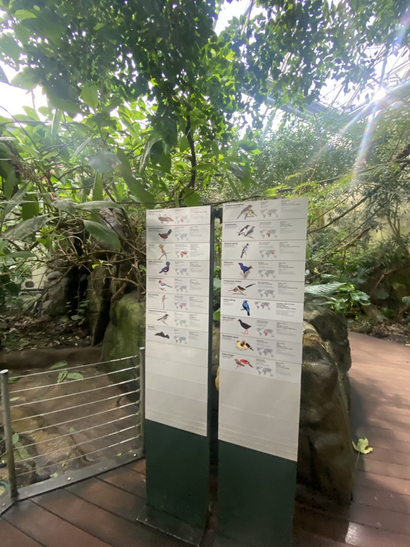 Tropezoo walkthrough aviary 261124