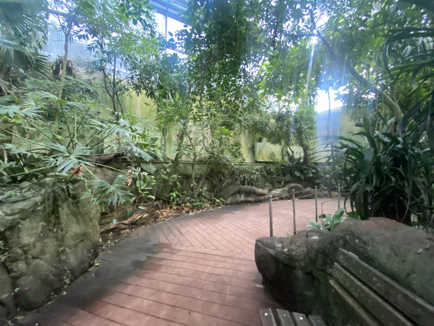Tropezoo walkthrough aviary 261124
