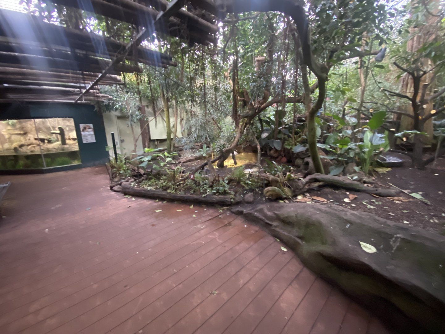 Tropezoo walkthrough aviary 261124