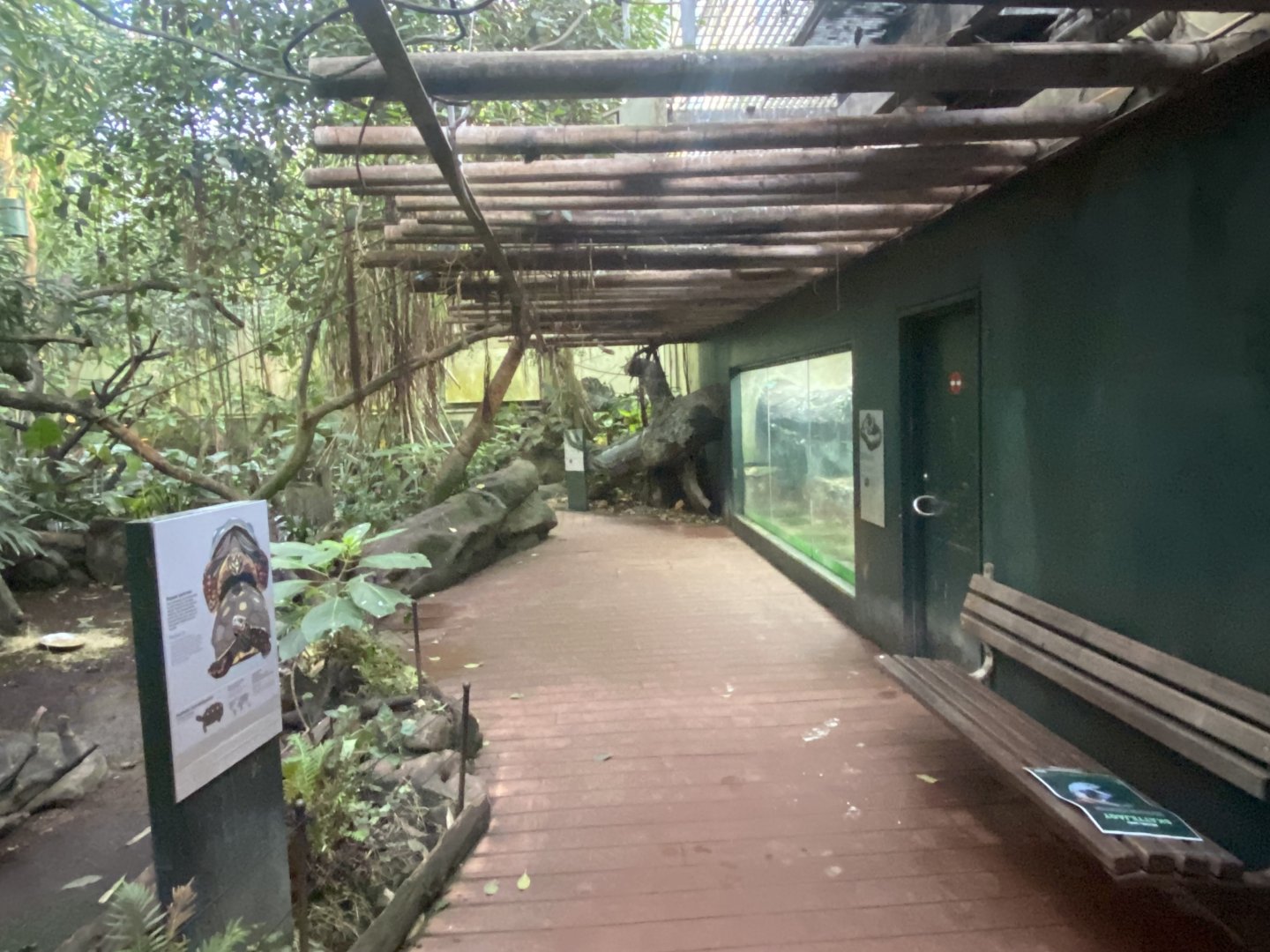 Tropezoo walkthrough aviary 261124