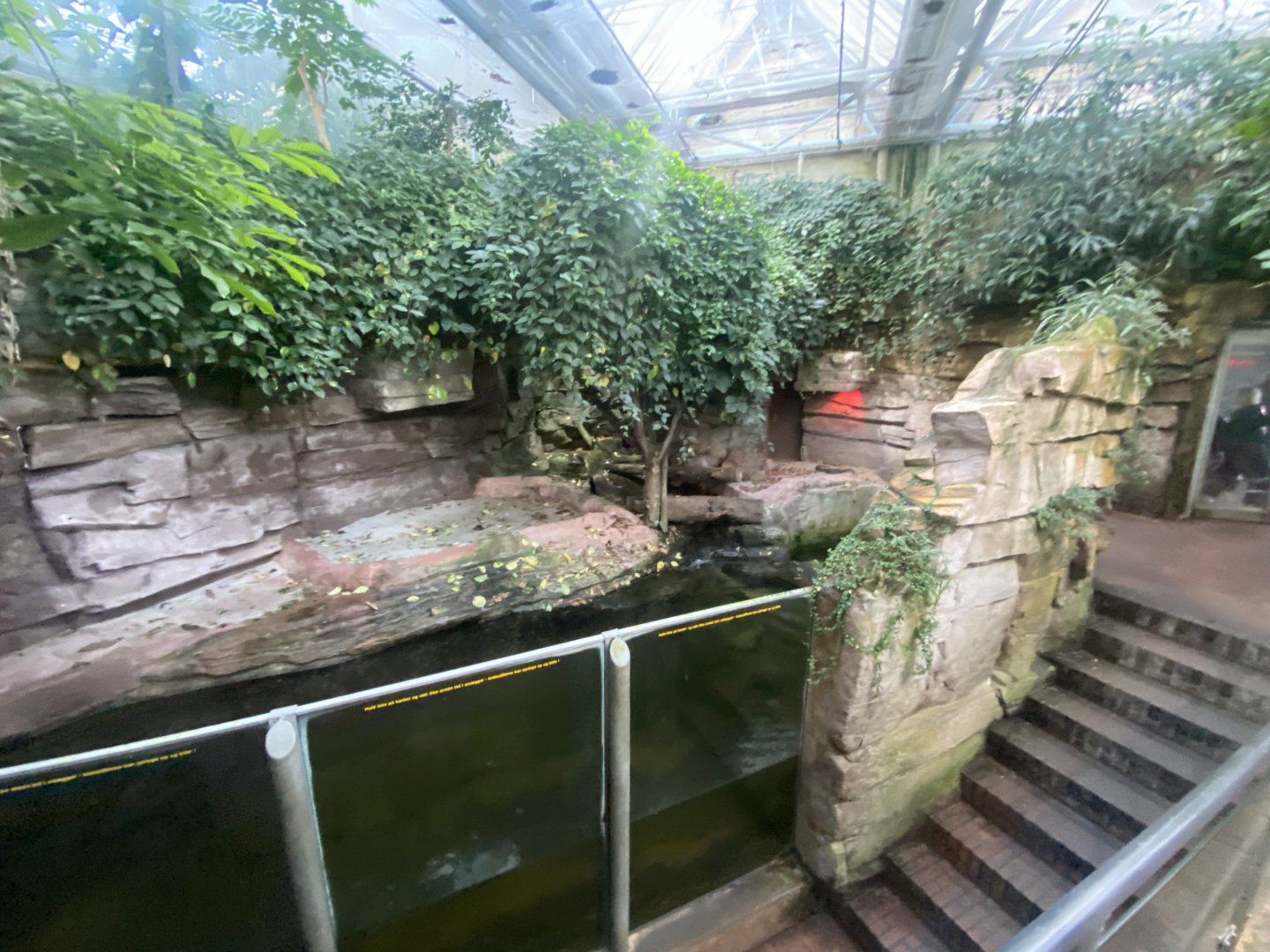 Tropezoo - West African crocodile exhibit 261124