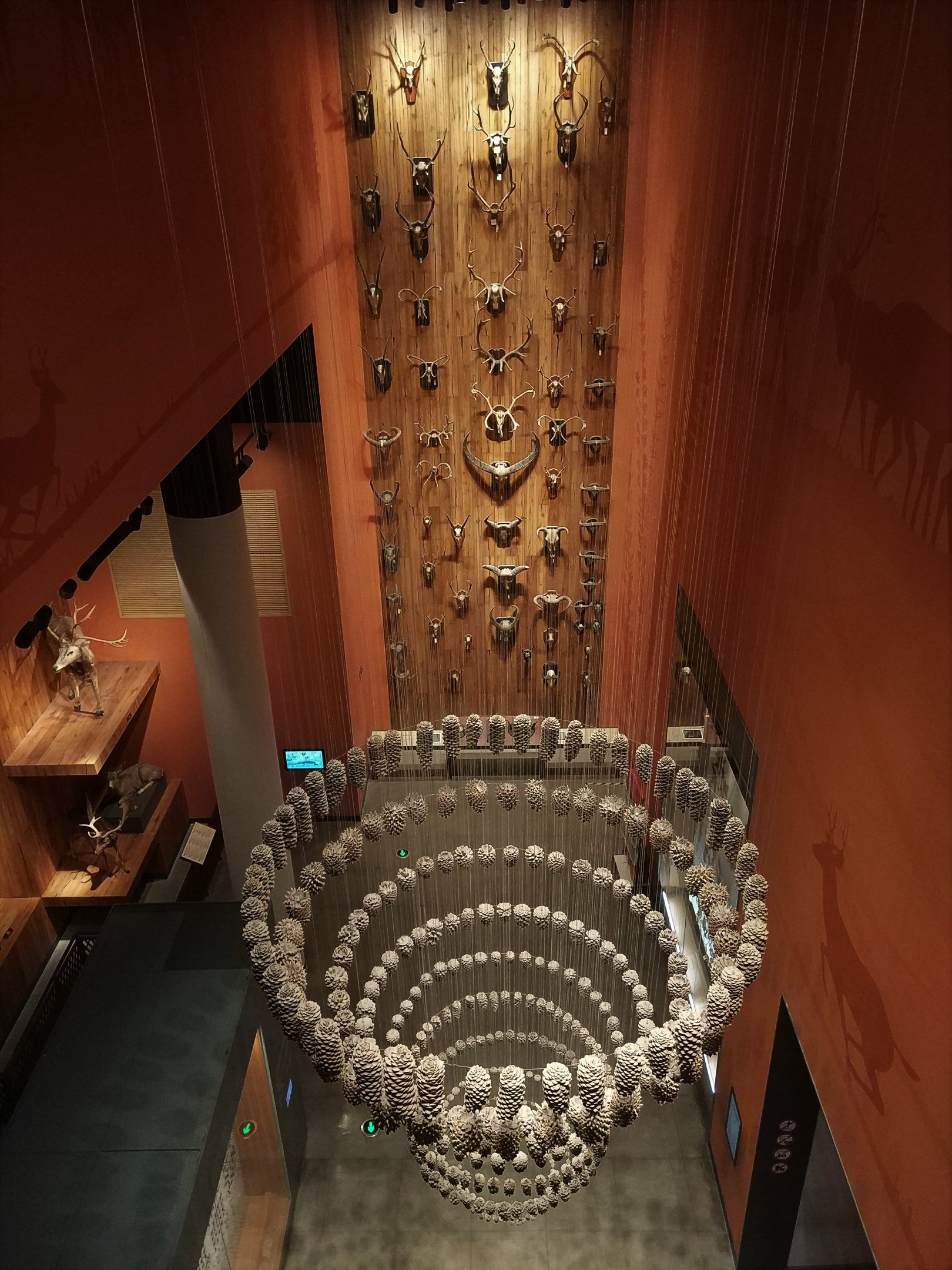 Trophies and Pinecones