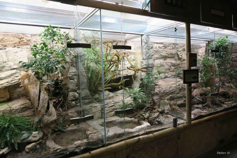 Tropic Pavillon - venomous snakes