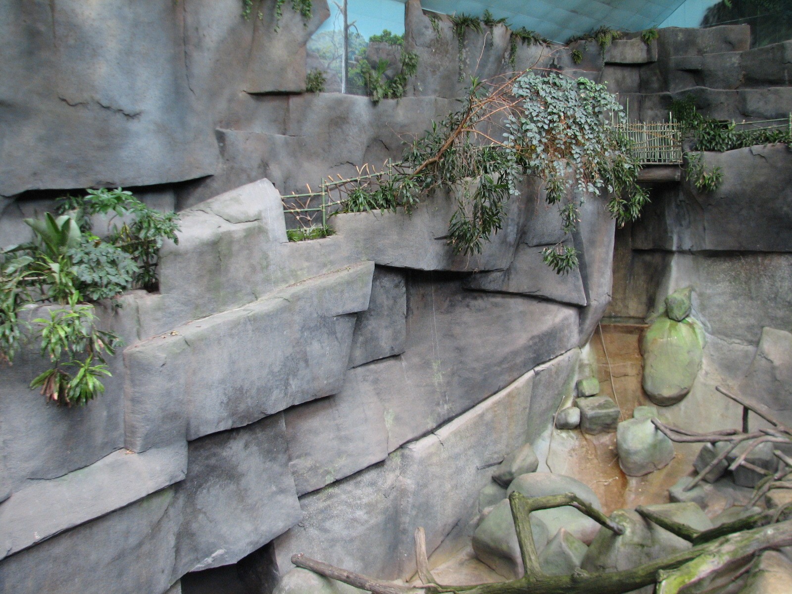 Tropic World - Africa - Gorilla Exhibit