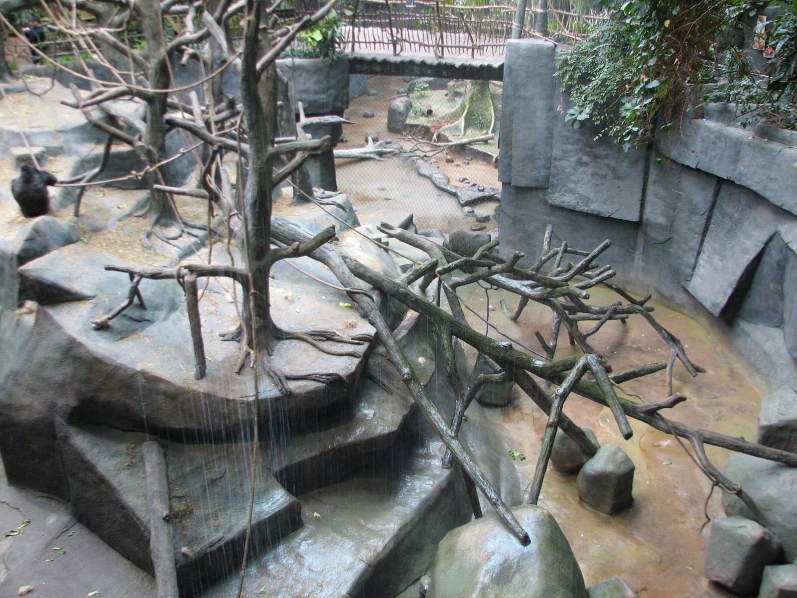 Tropic World - Africa - Gorilla Exhibit