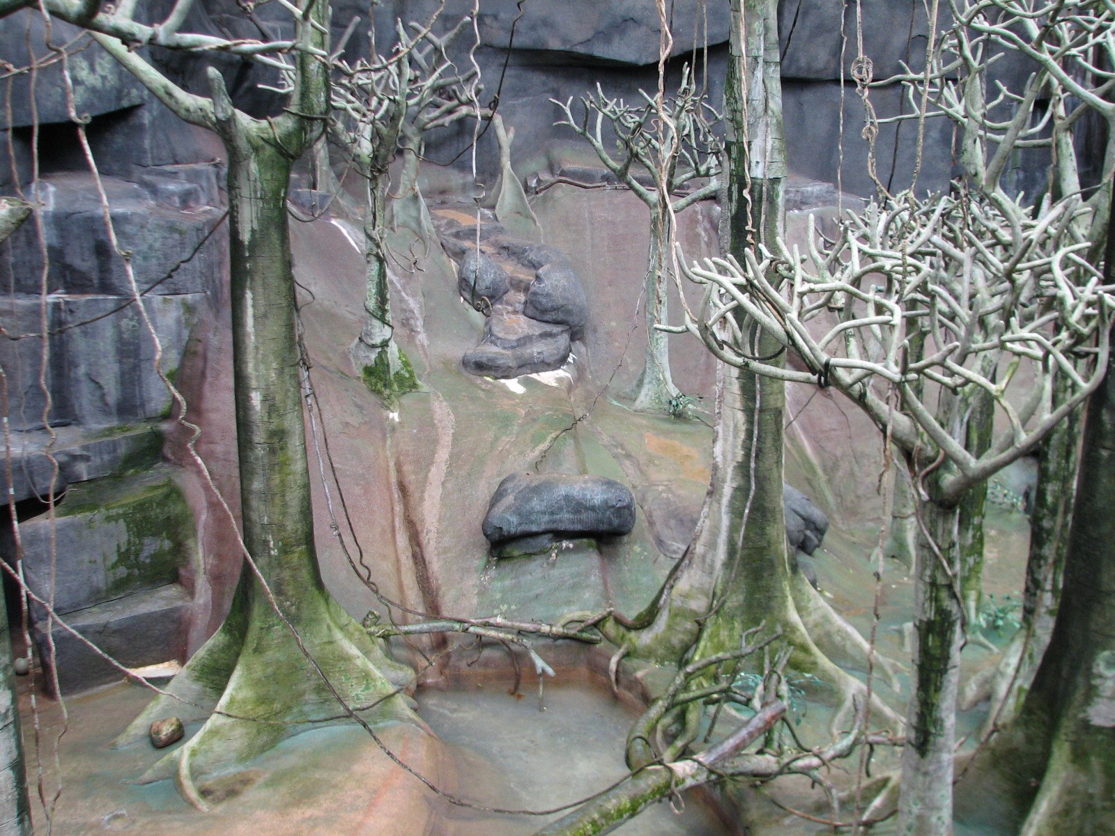 Tropic World - Africa - Main Exhibit