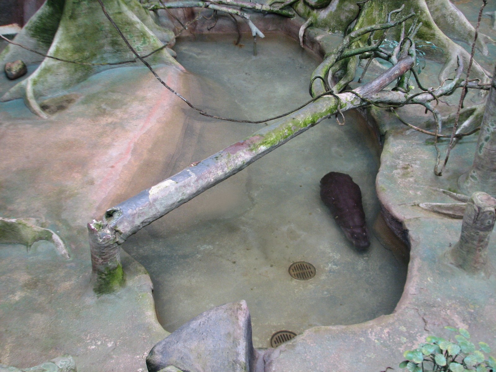 Tropic World - Africa - Main Exhibit