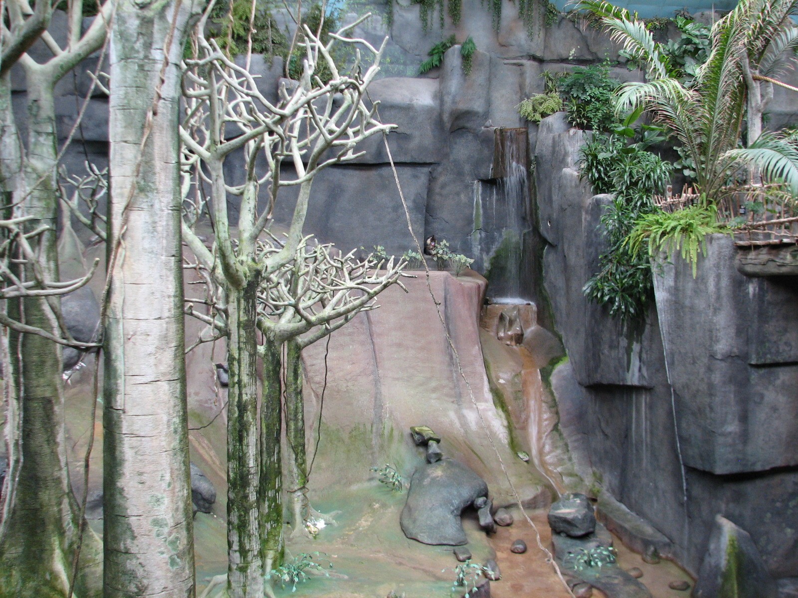Tropic World - Africa - Main Exhibit