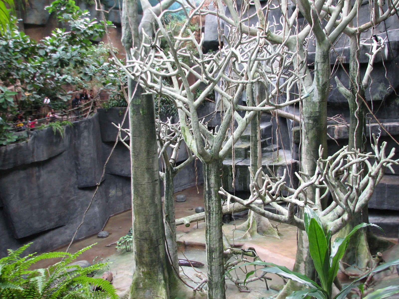 Tropic World - Africa - Main Exhibit