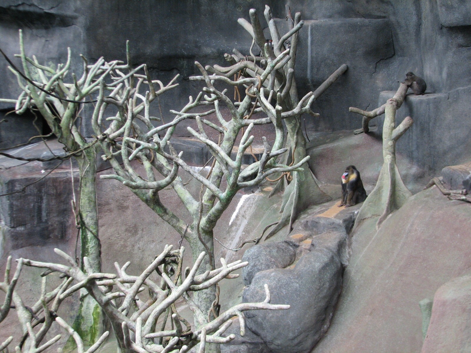 Tropic World - Africa - Main Exhibit