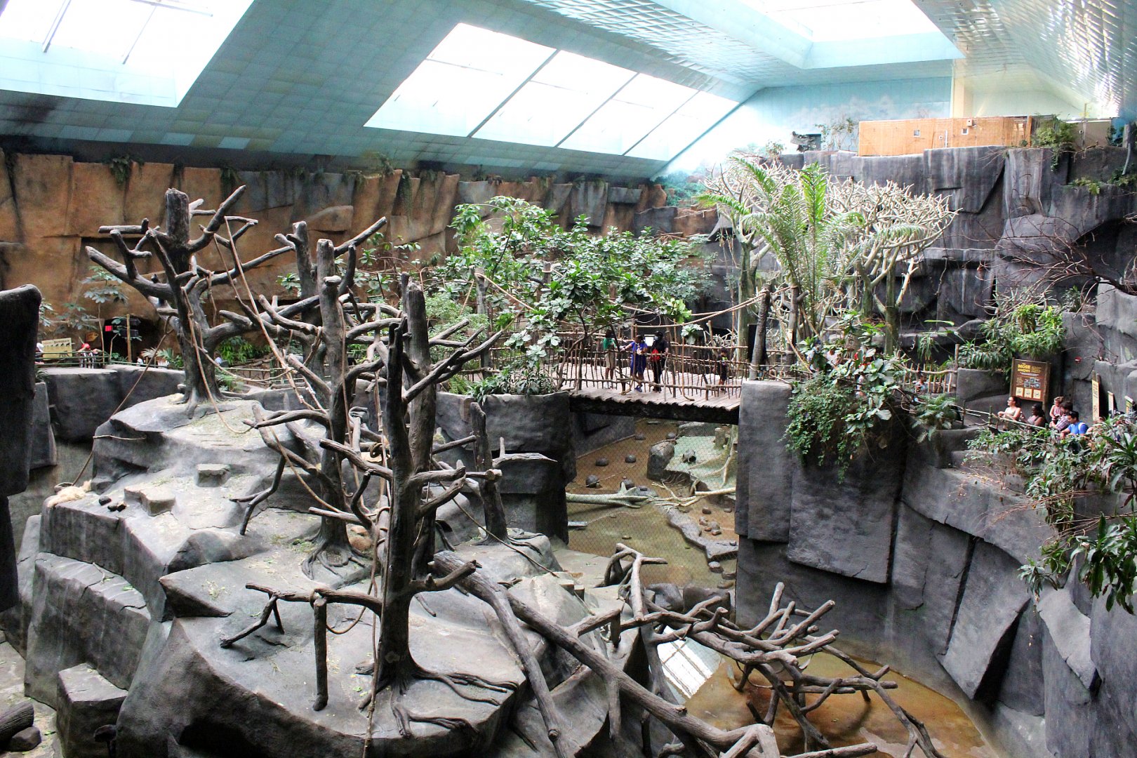 Tropic World: Africa - Overview