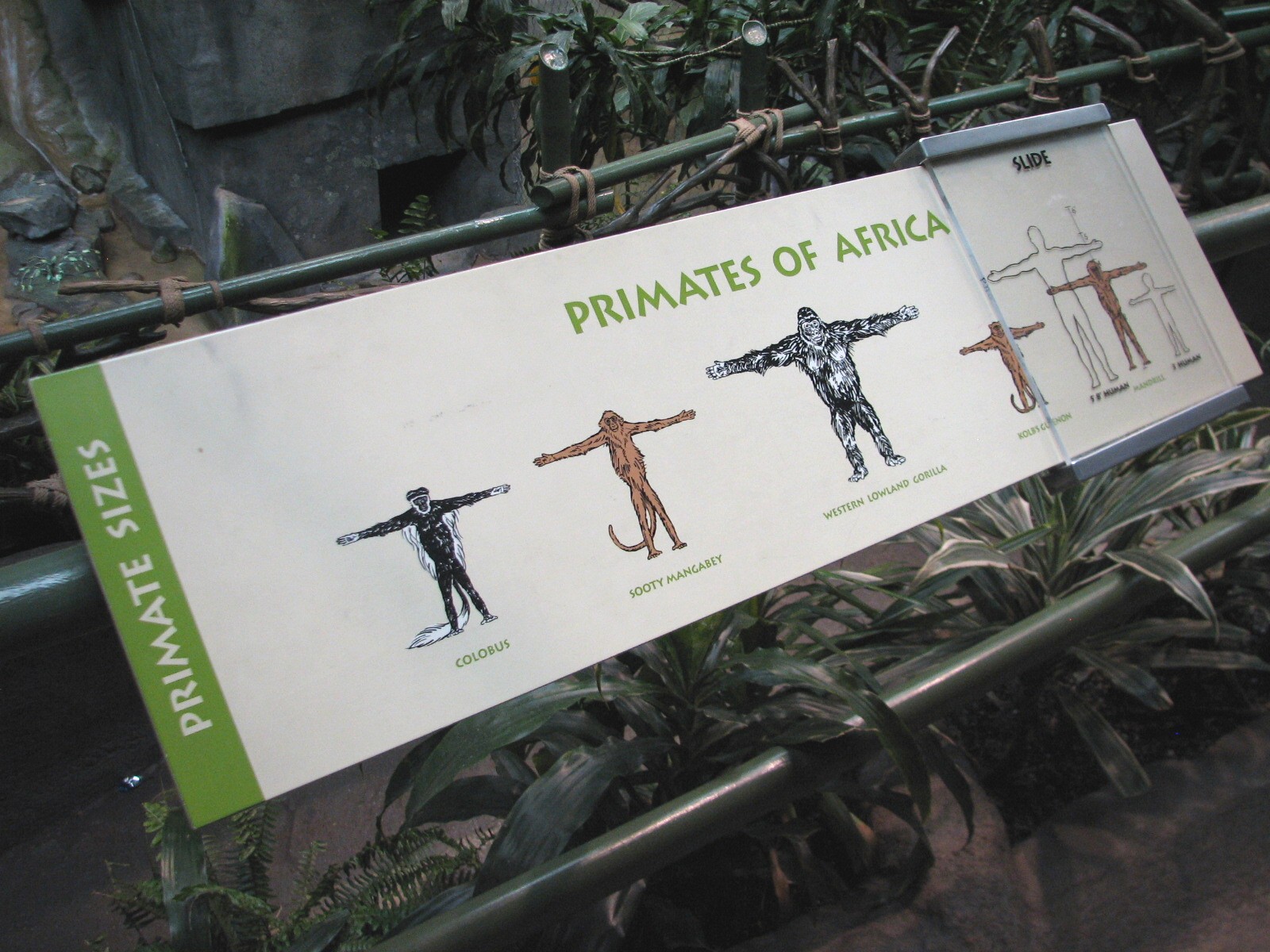 Tropic World - Africa - Sign