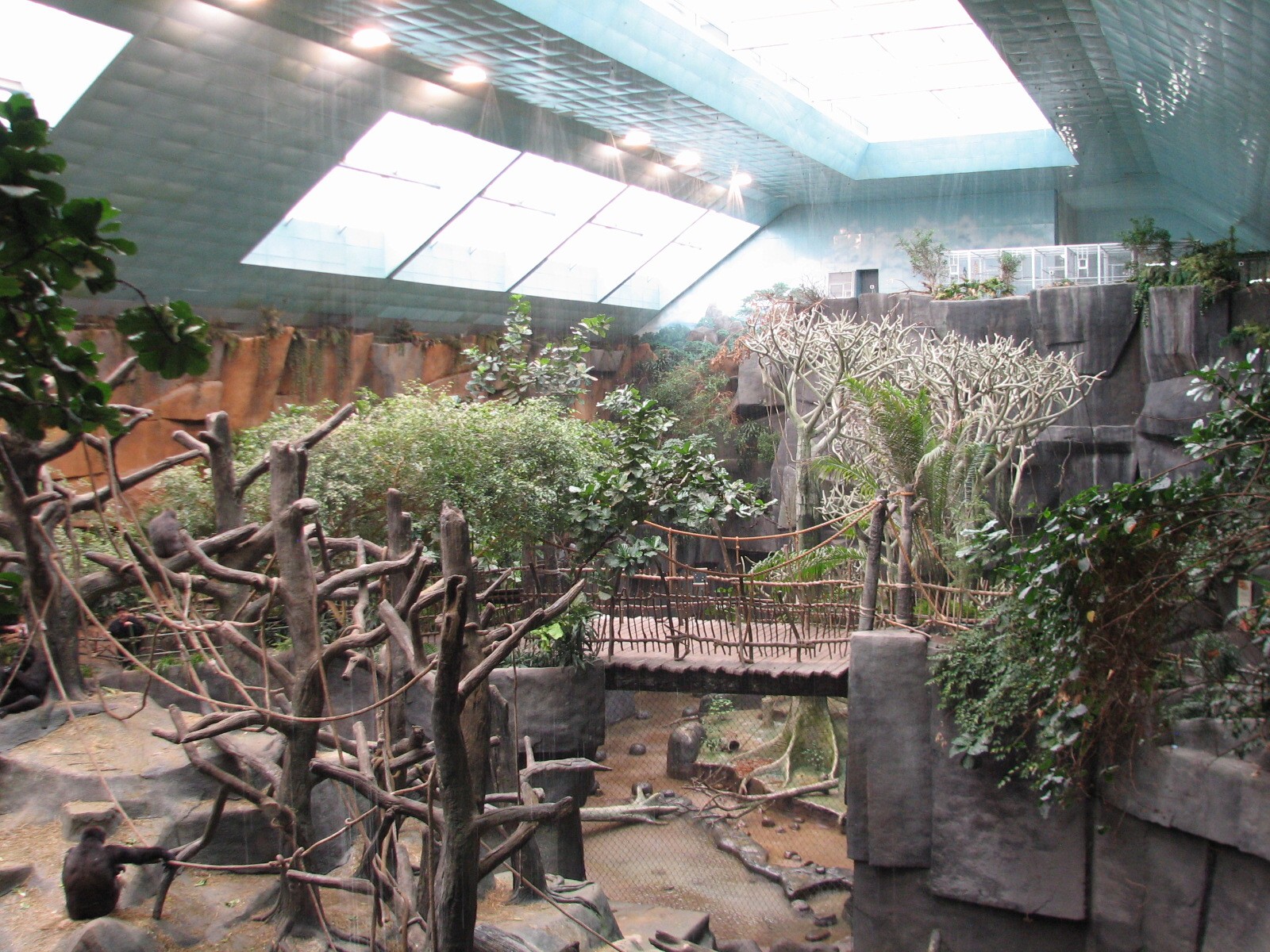 Tropic World - Africa - Skylight and Simulated Thunderstorm