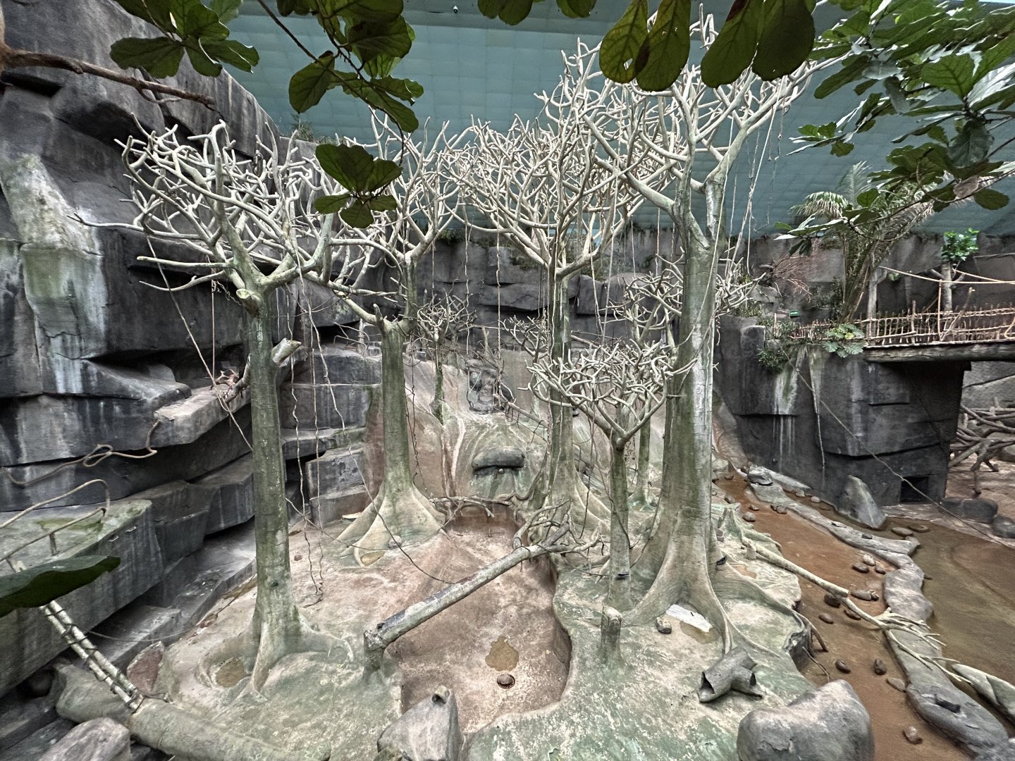 Tropic World Africa - Tropical Forests