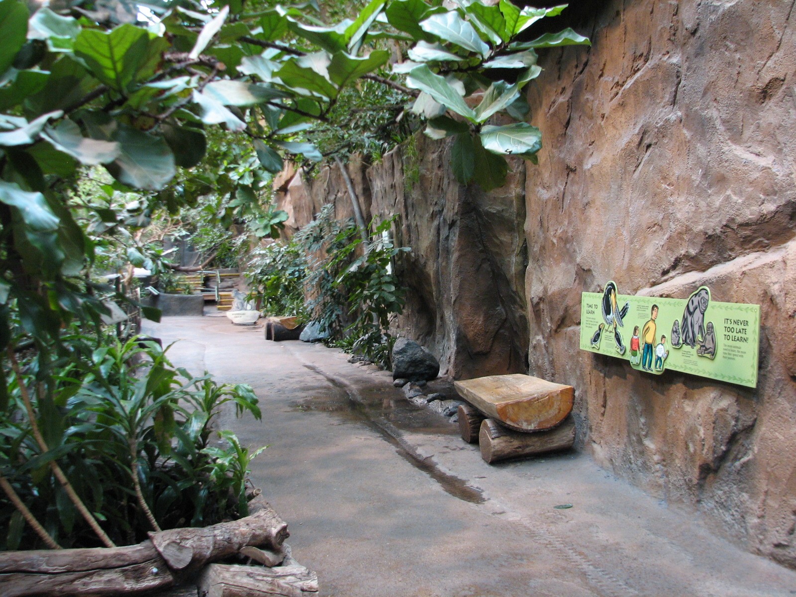 Tropic World - Africa - Viewing Area