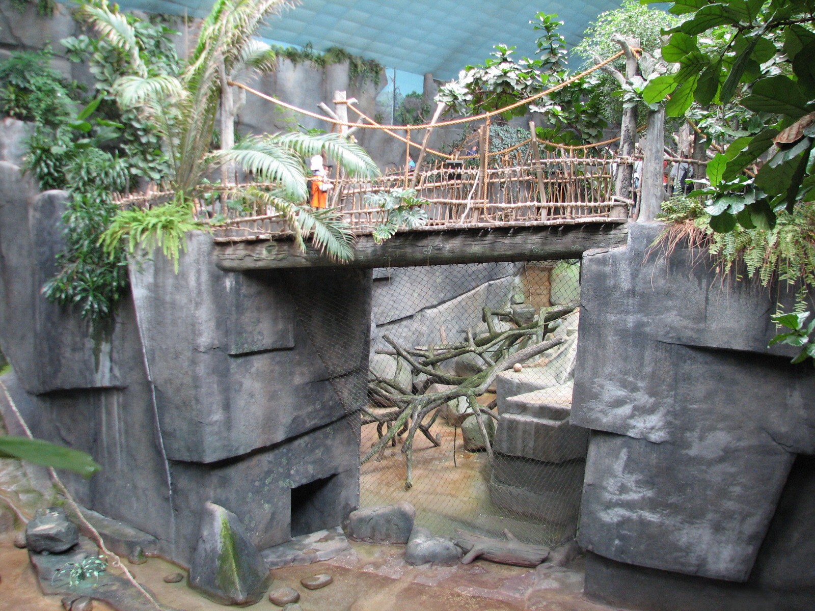 Tropic World - Africa - Viewing Bridge