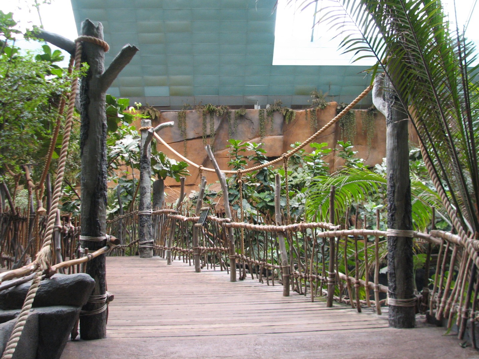 Tropic World - Africa - Viewing Bridge