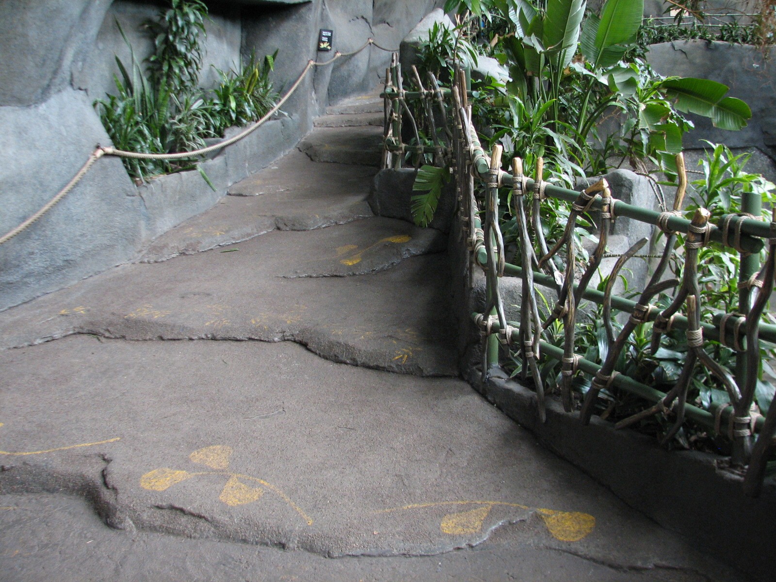 Tropic World - Africa - Viewing Path