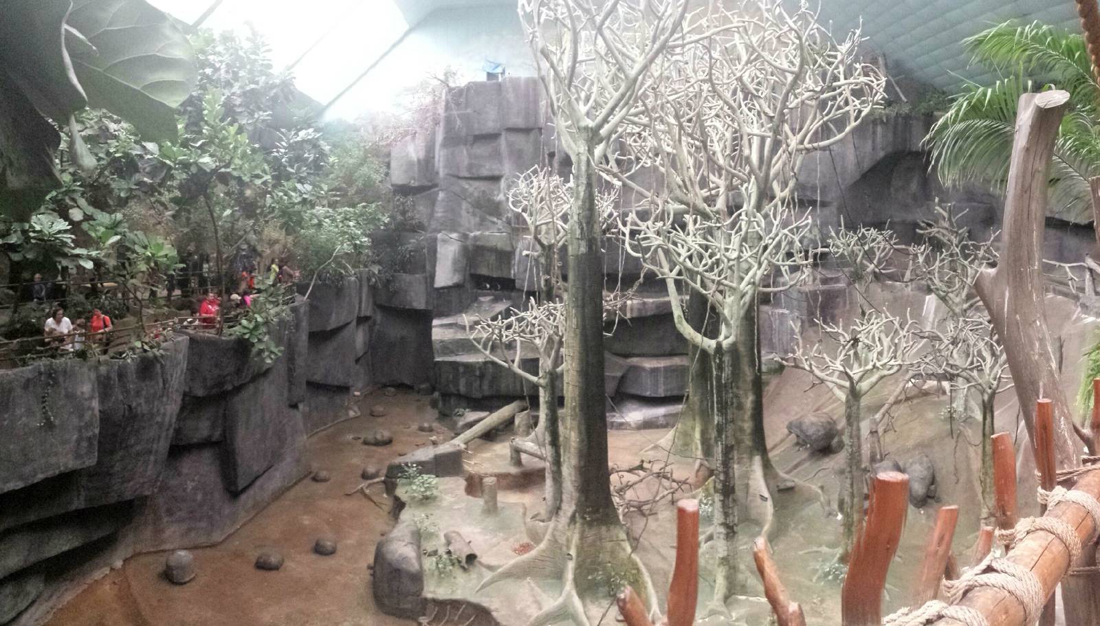 Tropic World - Africa