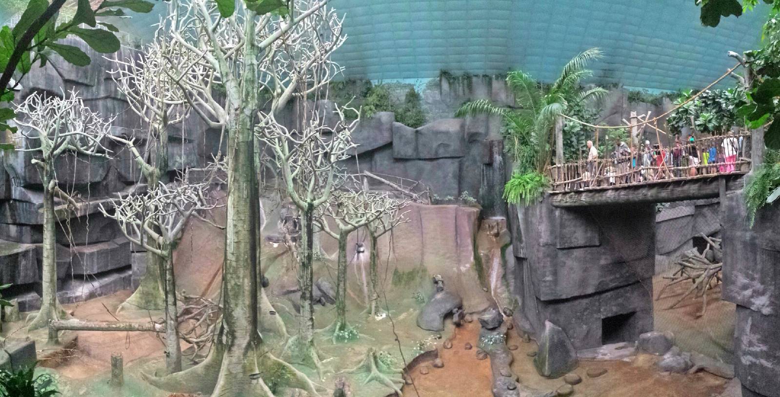 Tropic World - Africa