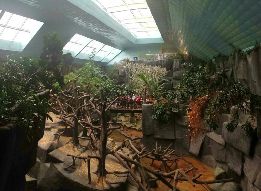 Tropic World - Africa