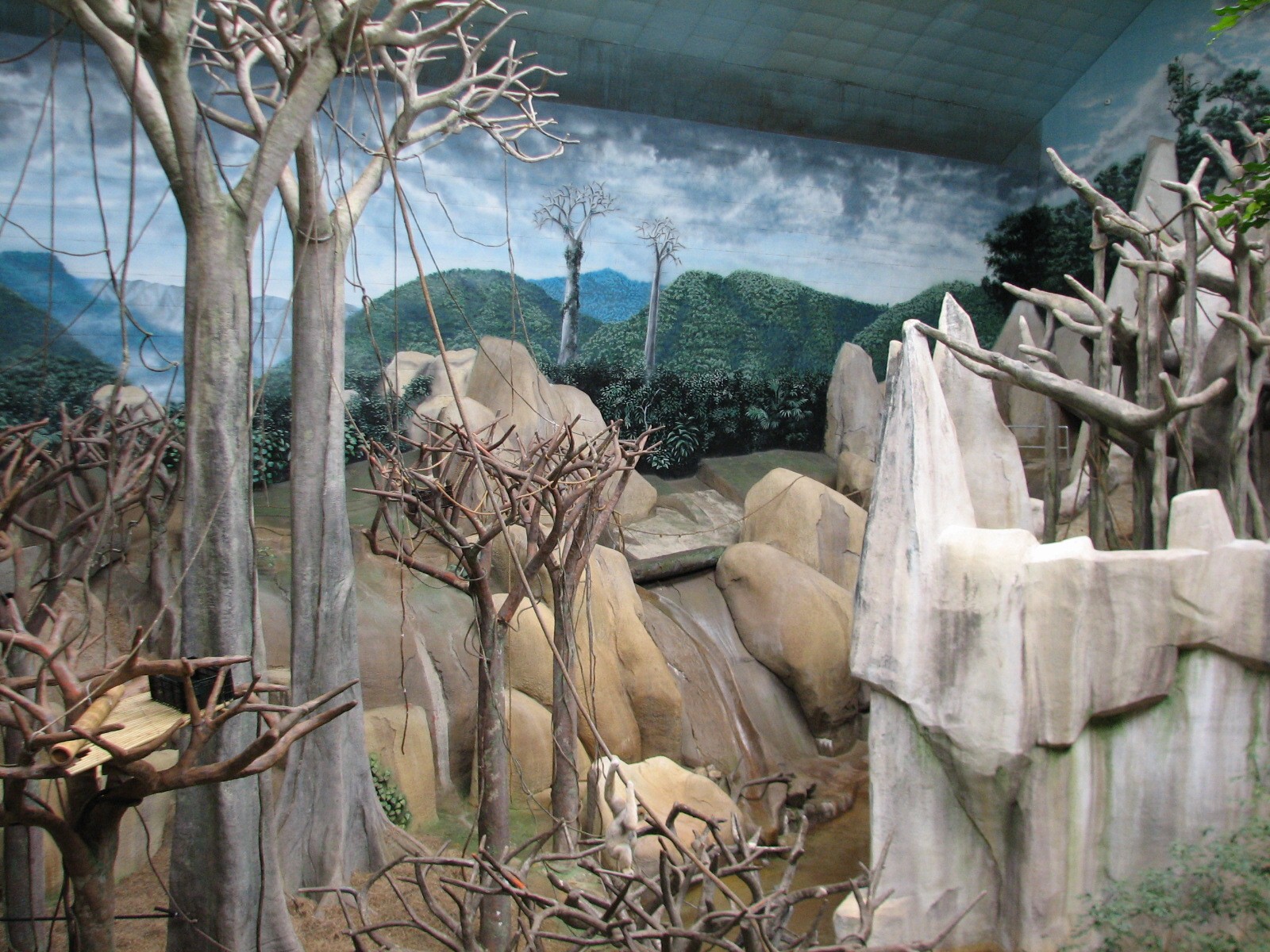 Tropic World - Asia - Main Exhibit and Orangutan Exhibit