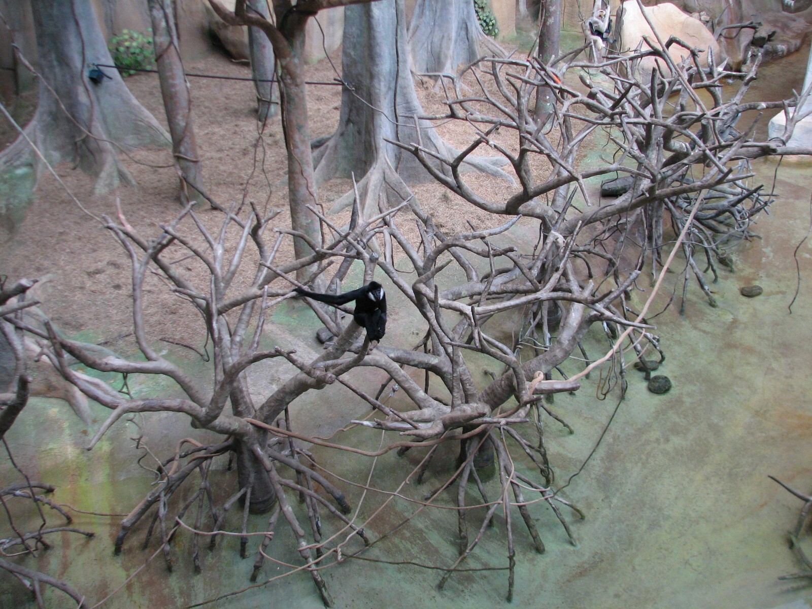 Tropic World - Asia - Main Exhibit