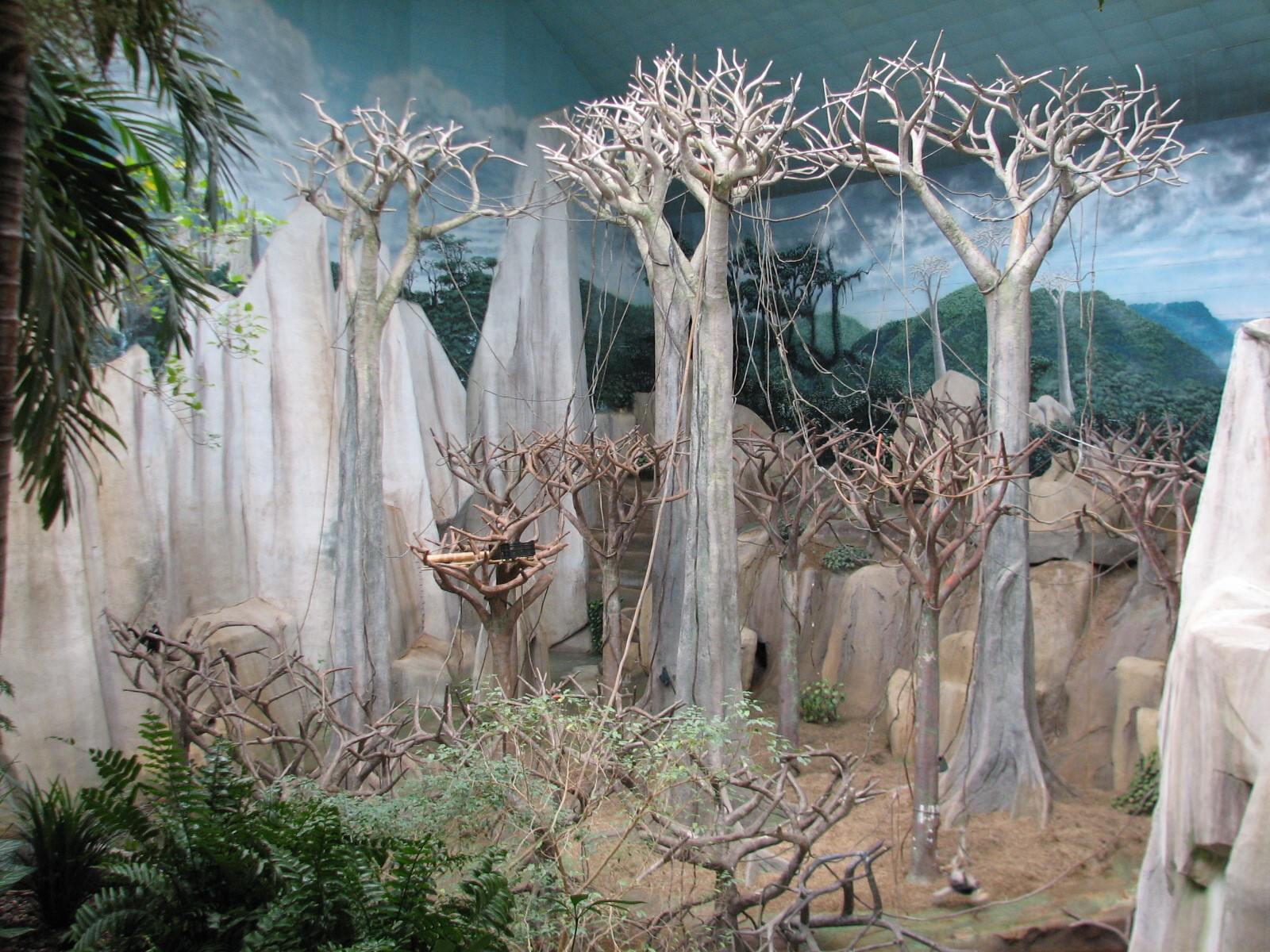 Tropic World - Asia - Main Exhibit
