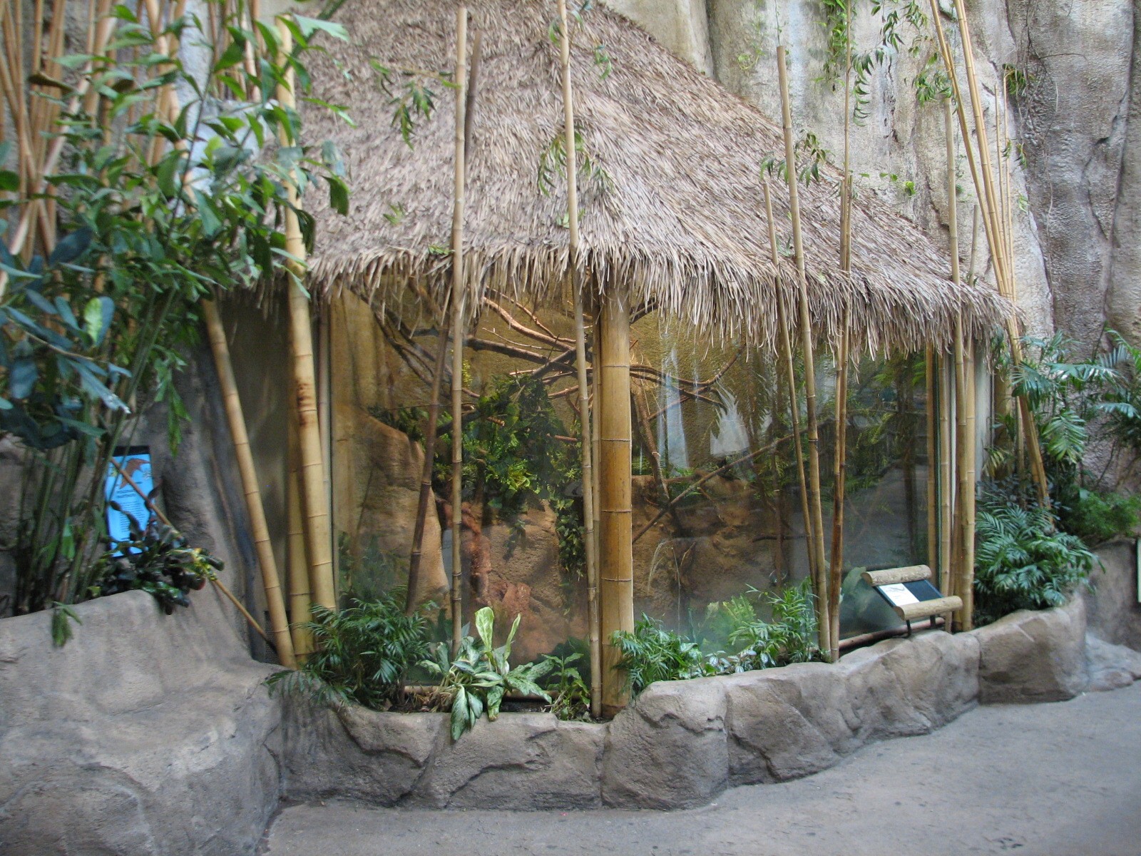 Tropic World - Asia - Northern Tree Shrew Exhibit