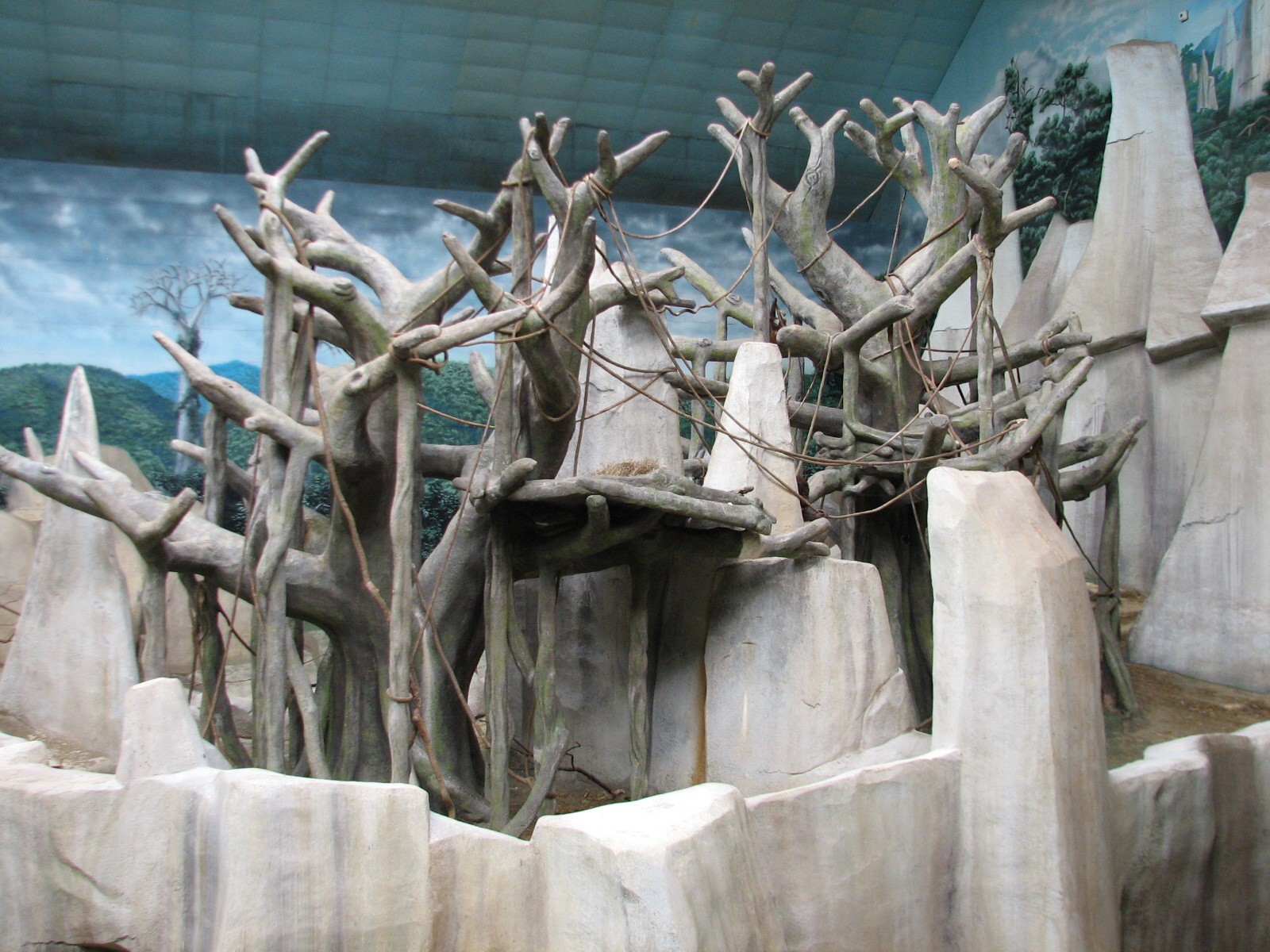 Tropic World - Asia - Orangutan Exhibit