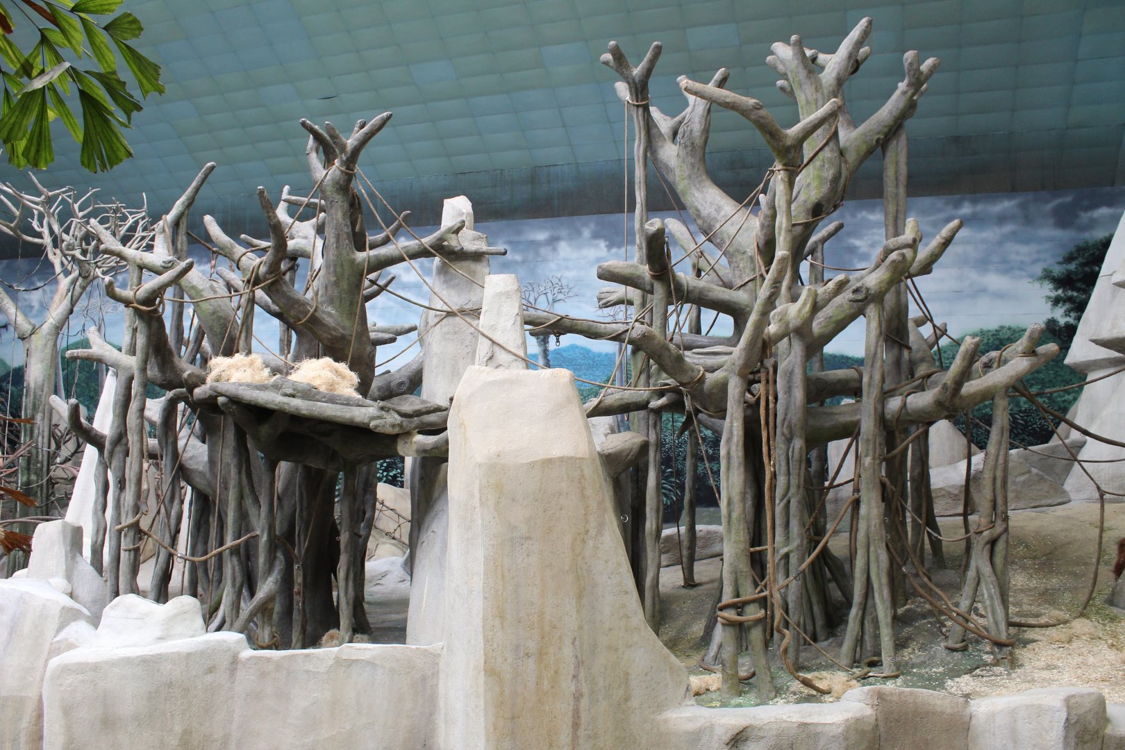 Tropic World - Asia (Orangutan Exhibit)