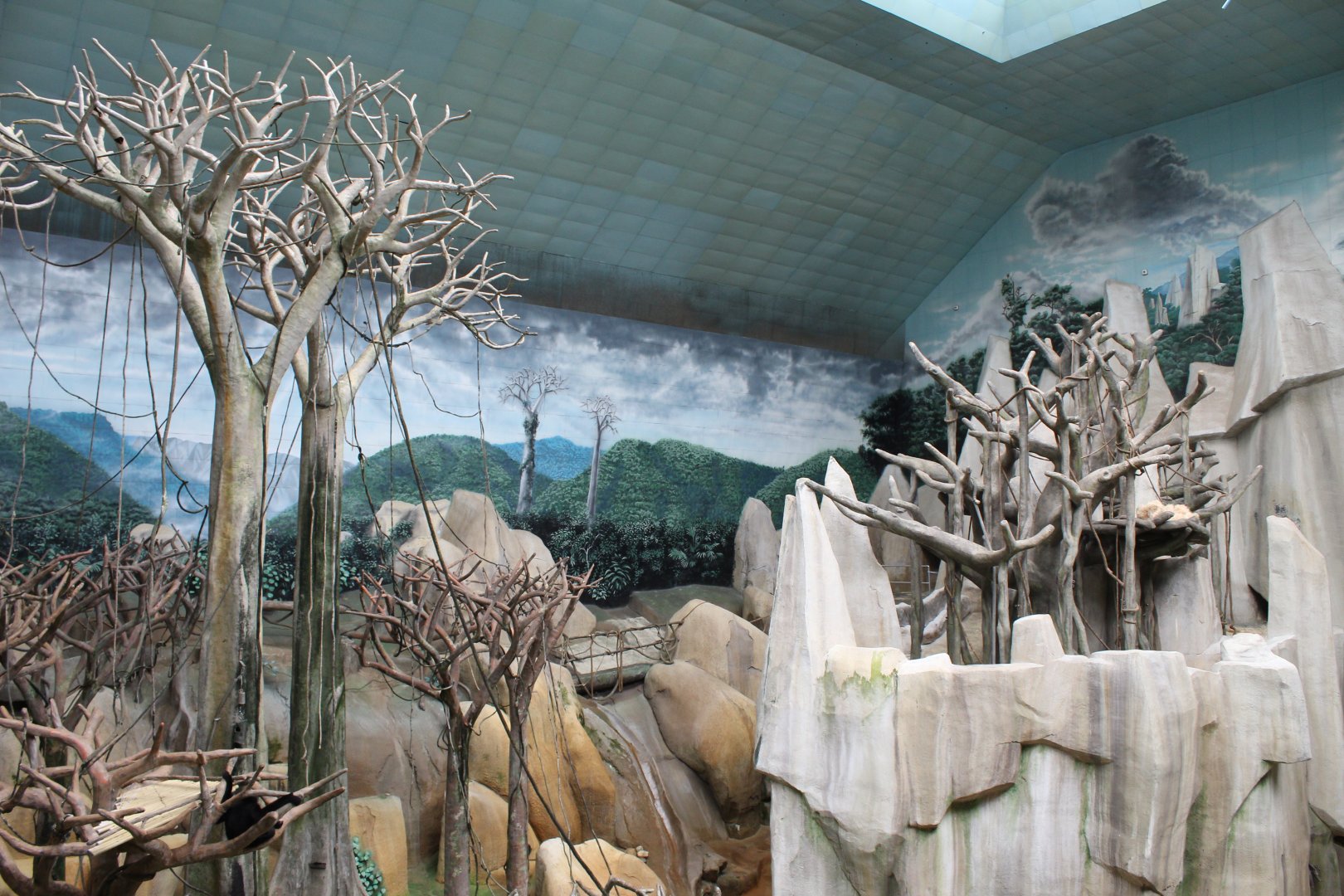 Tropic World - Asia Overview