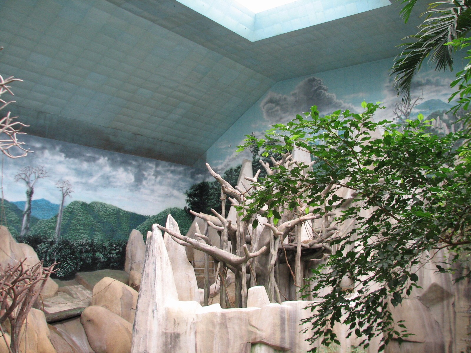 Tropic World - Asia - Skylight