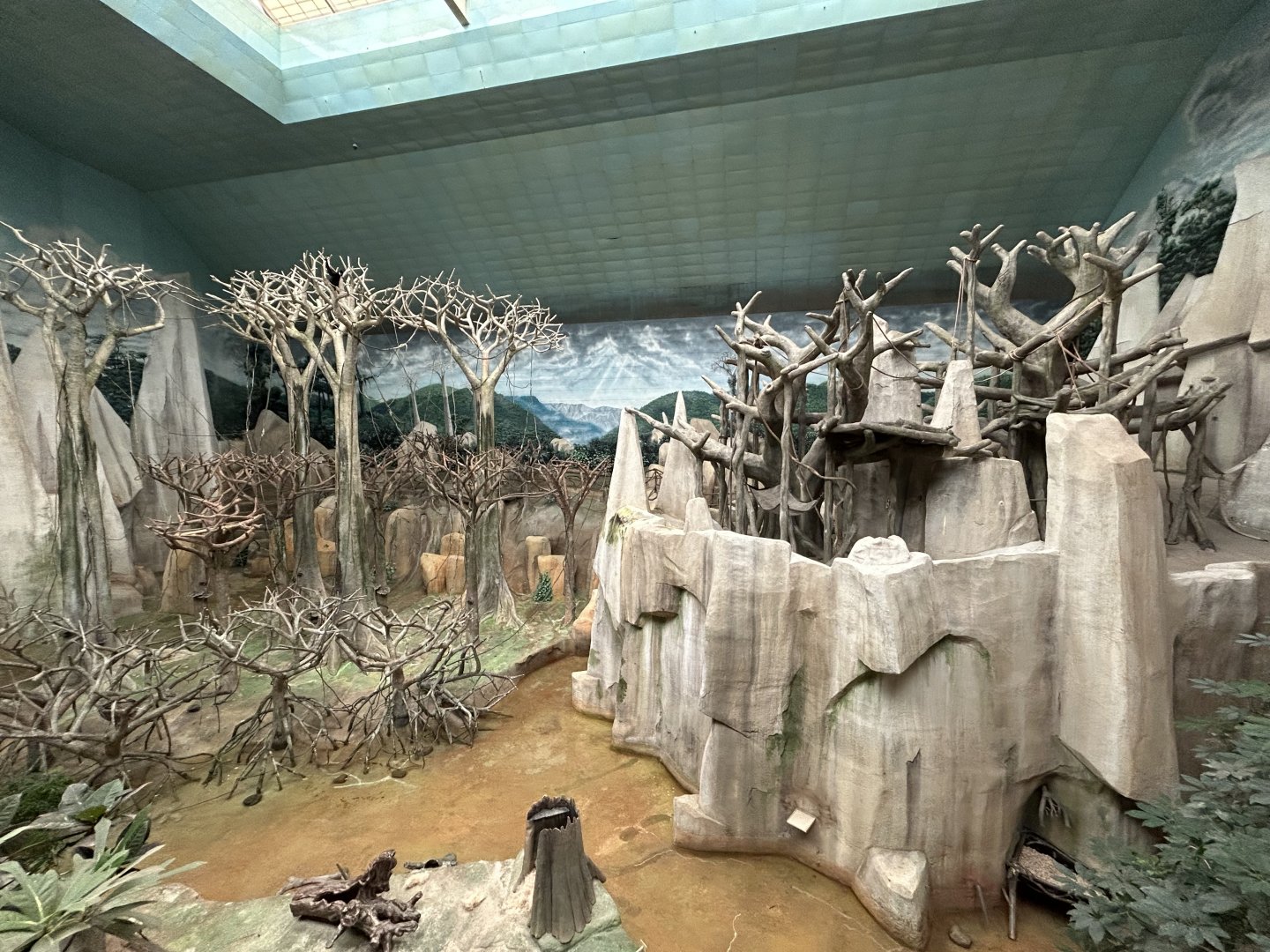 Tropic World Asia - Tropical Forests