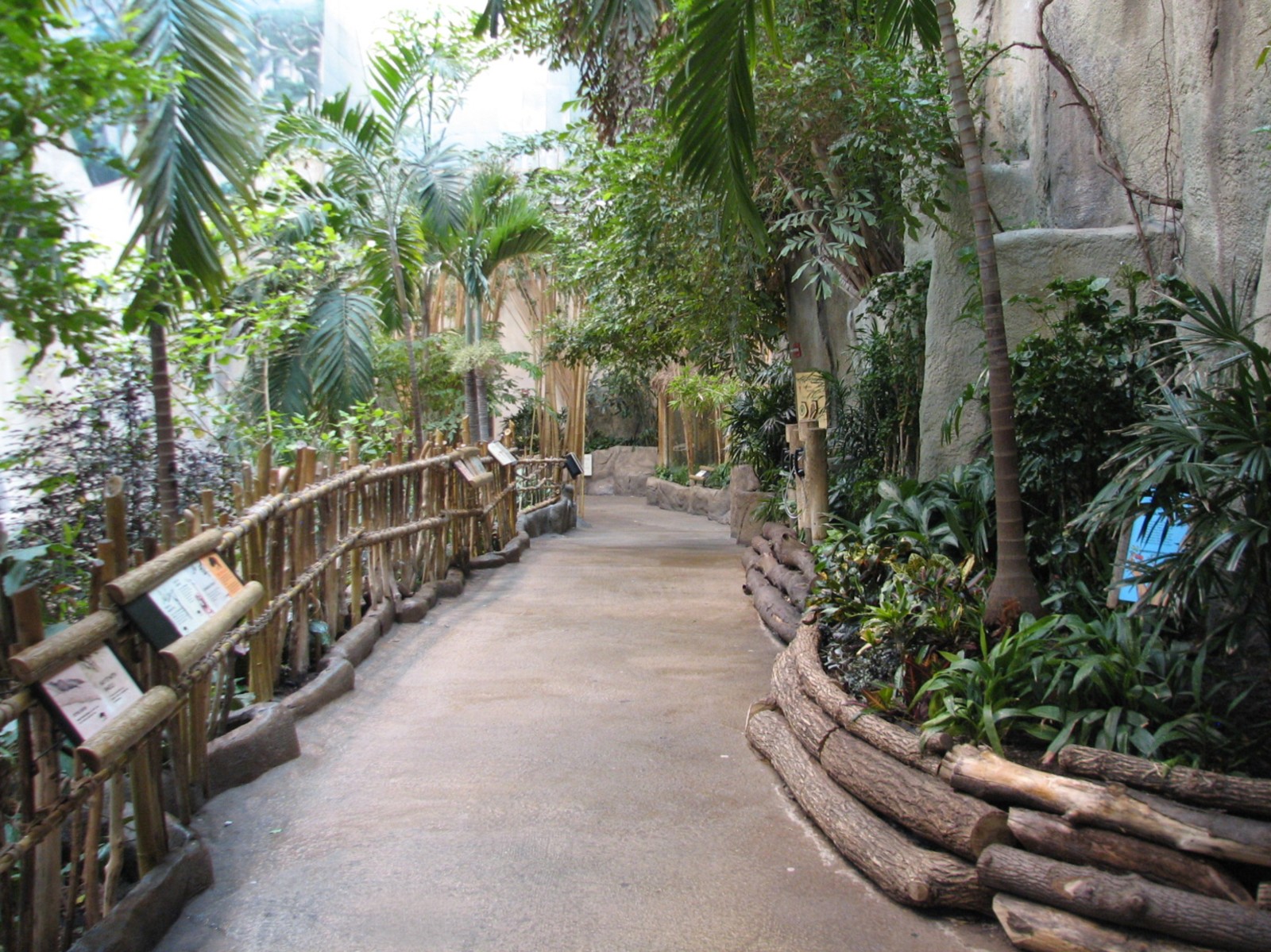 Tropic World - Asia - Viewing Area