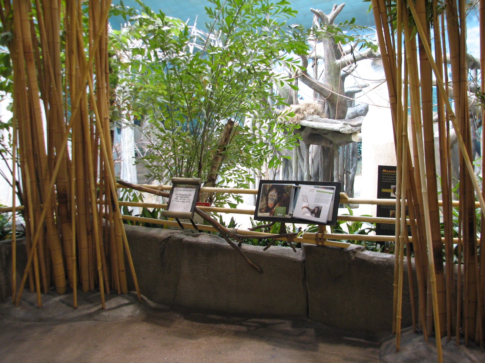 Tropic World - Asia - Viewing Area