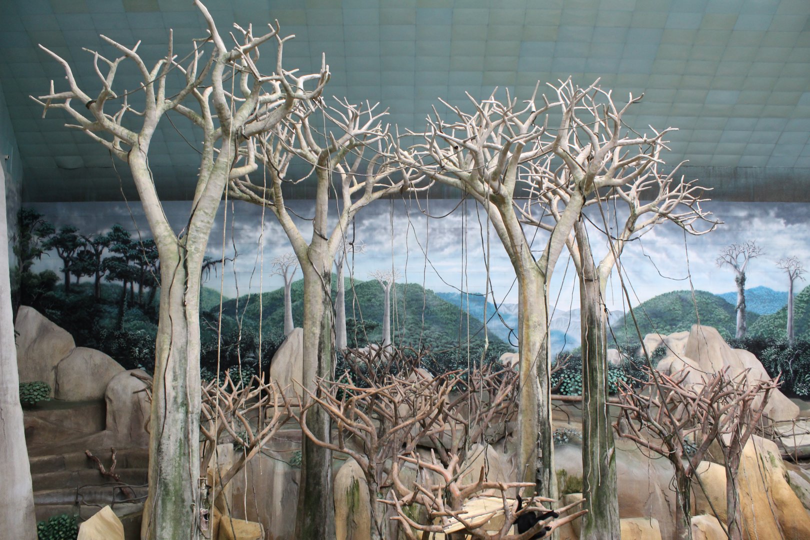 Tropic World - Asia (White-Cheeked Gibbon Exhibit)