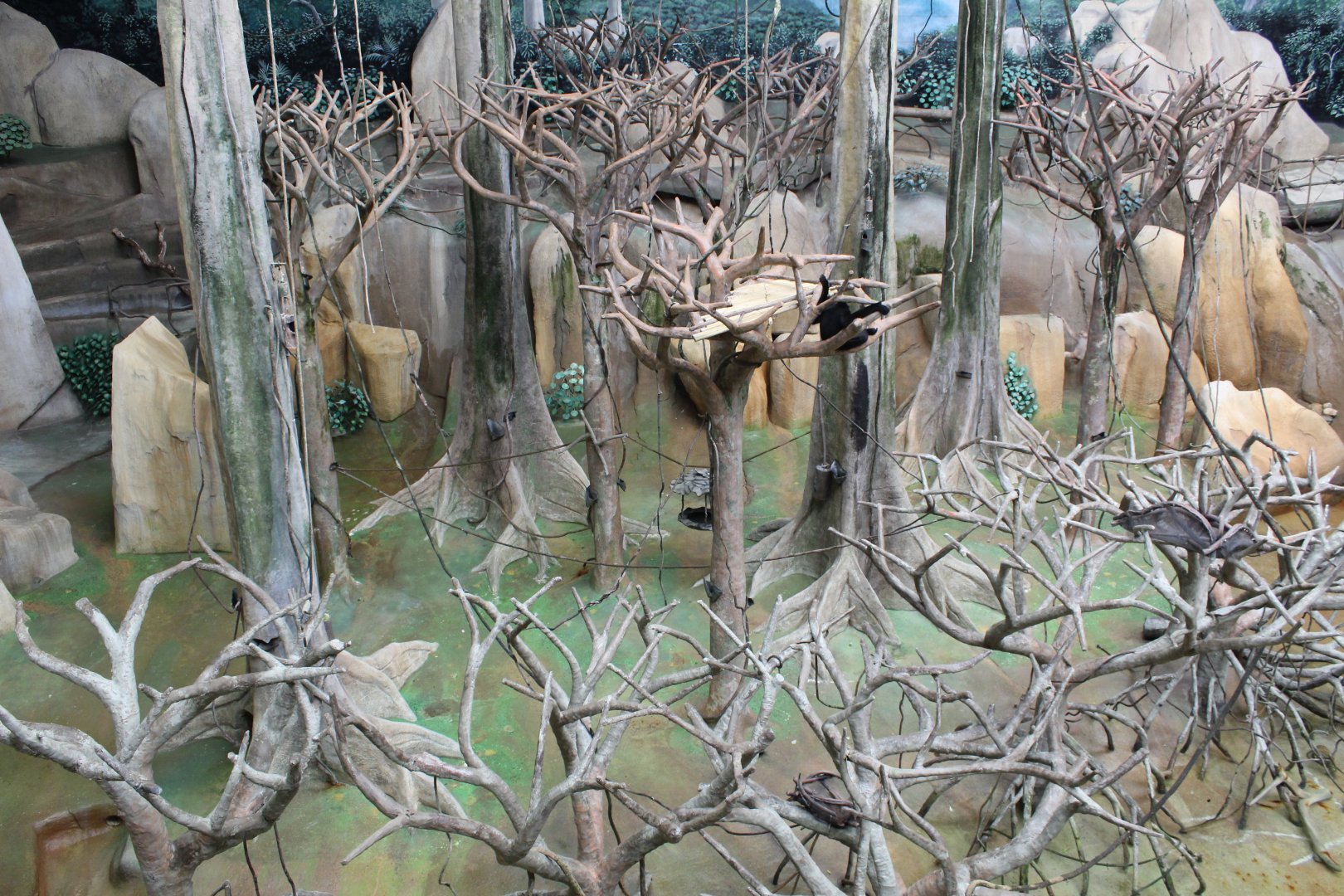 Tropic World - Asia (White-Cheeked Gibbon Exhibit)