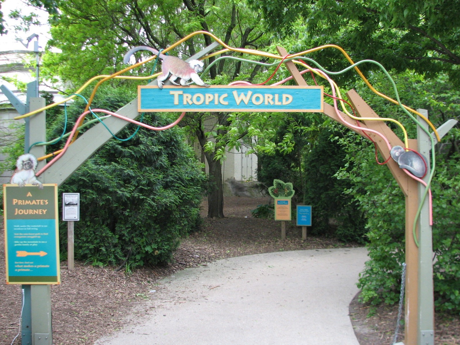 Tropic World - Entry Path