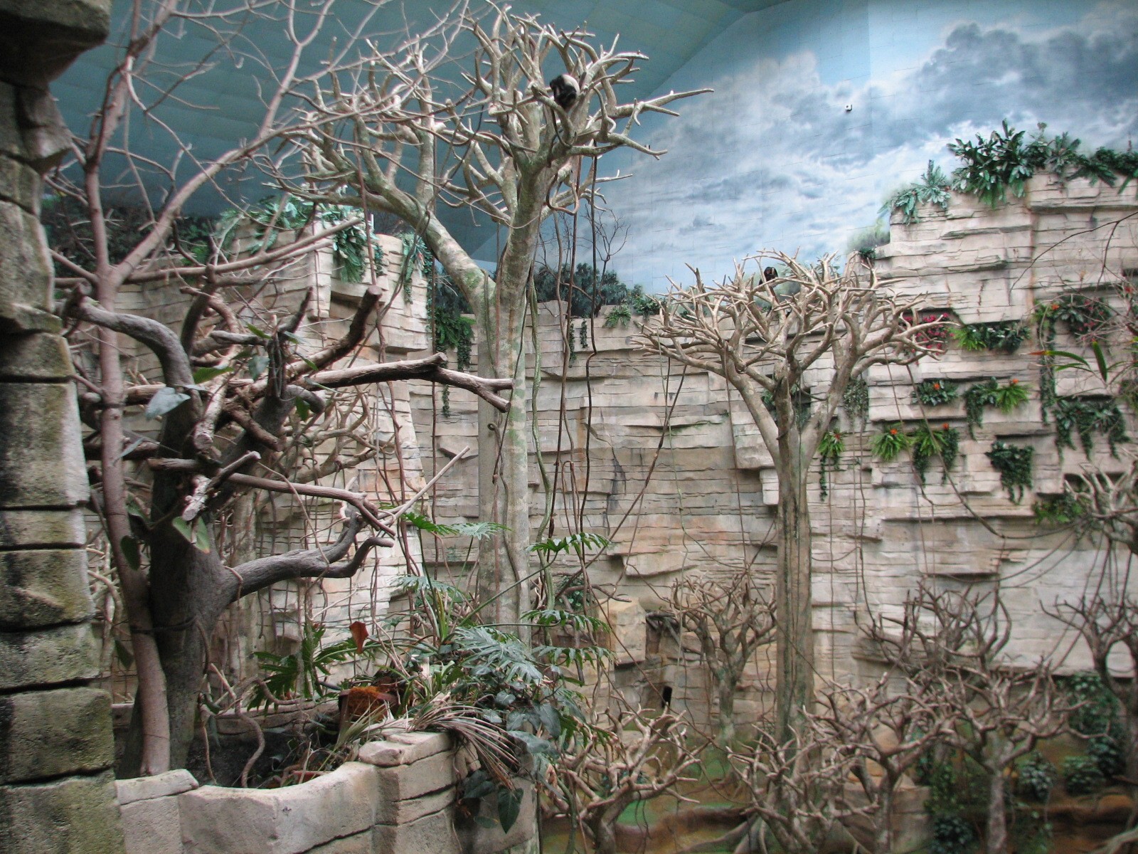 Tropic World - South America - Main Exhibit