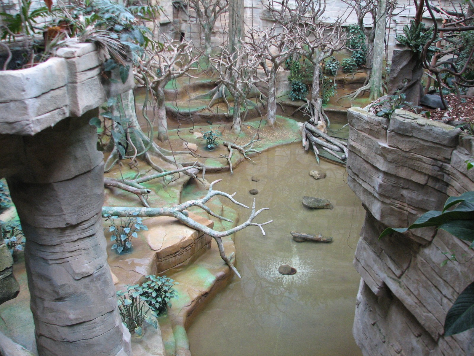 Tropic World - South America - Main Exhibit
