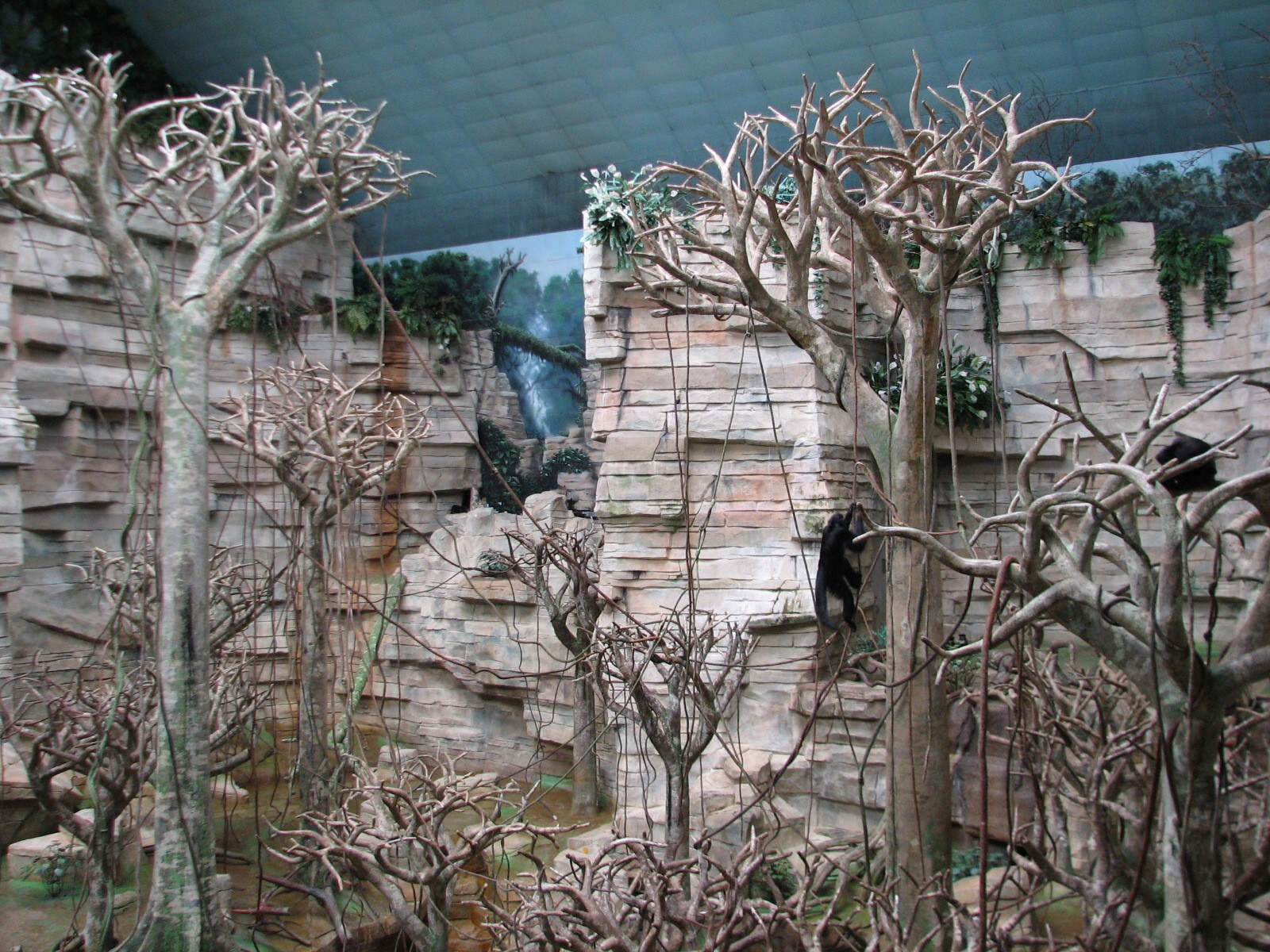 Tropic World - South America - Main Exhibit