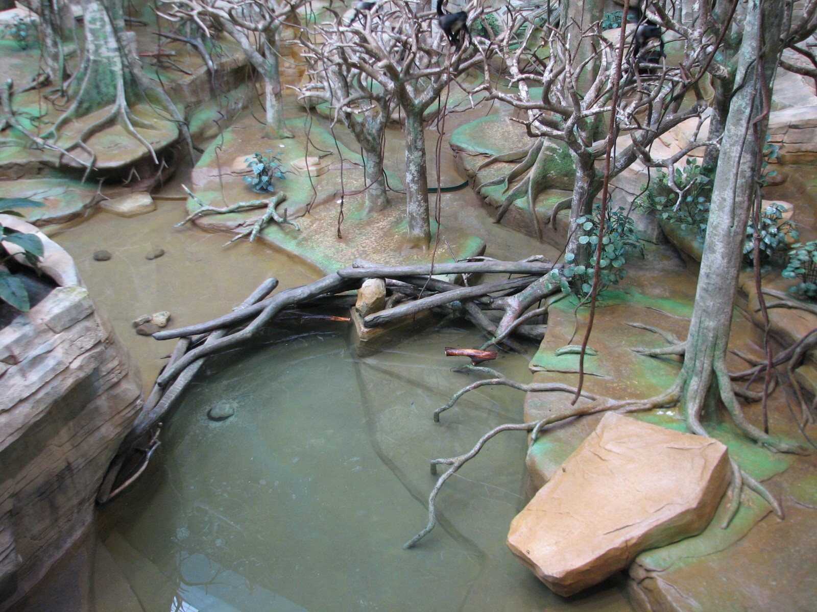 Tropic World - South America - Main Exhibit