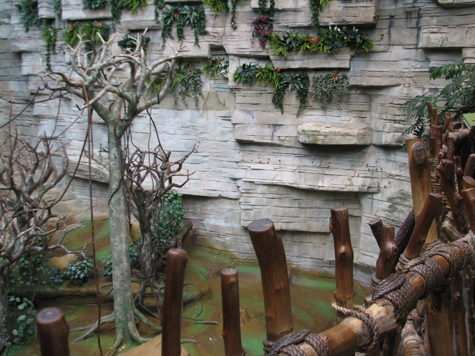 Tropic World - South America - Main Exhibit