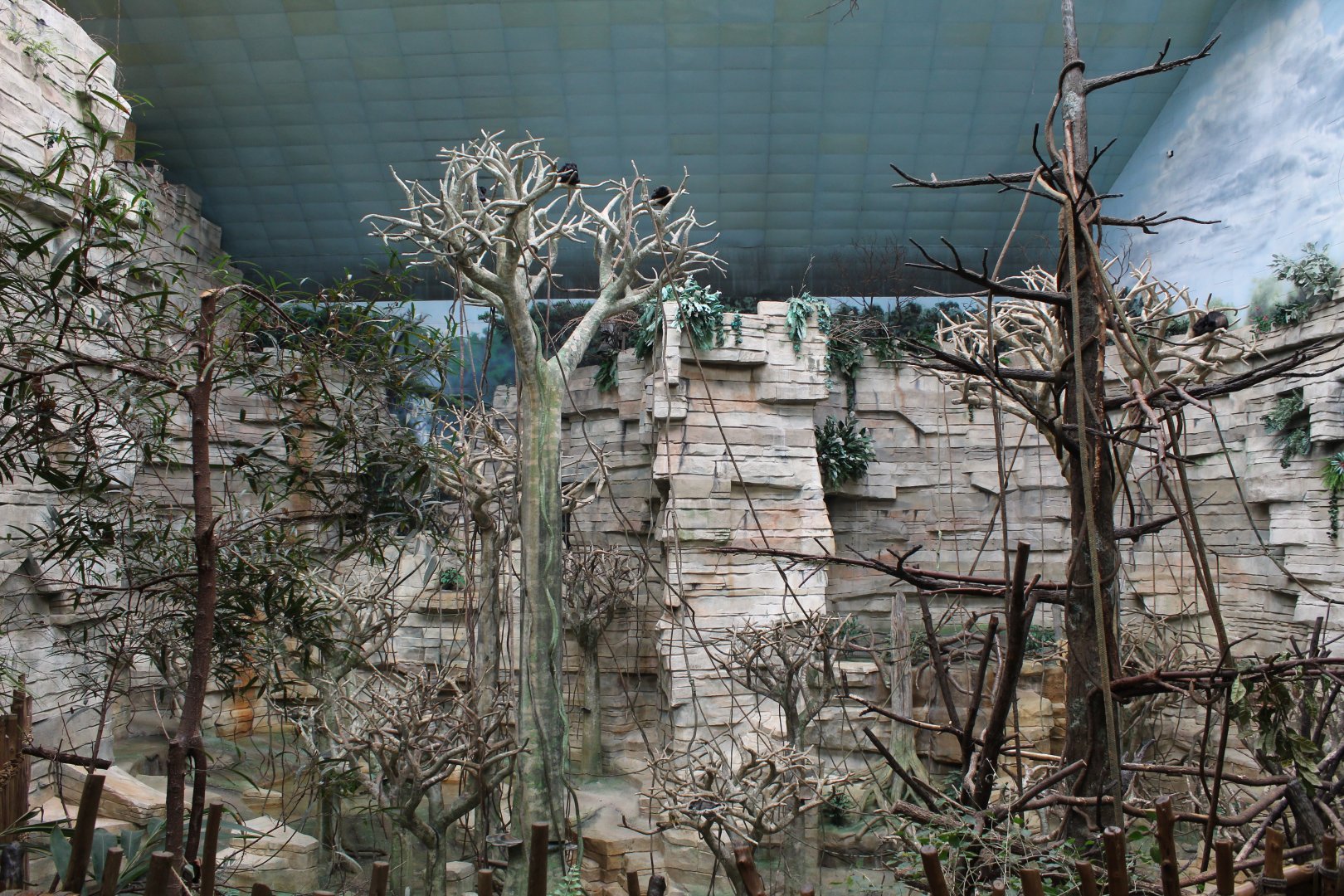 Tropic World - South America Overview