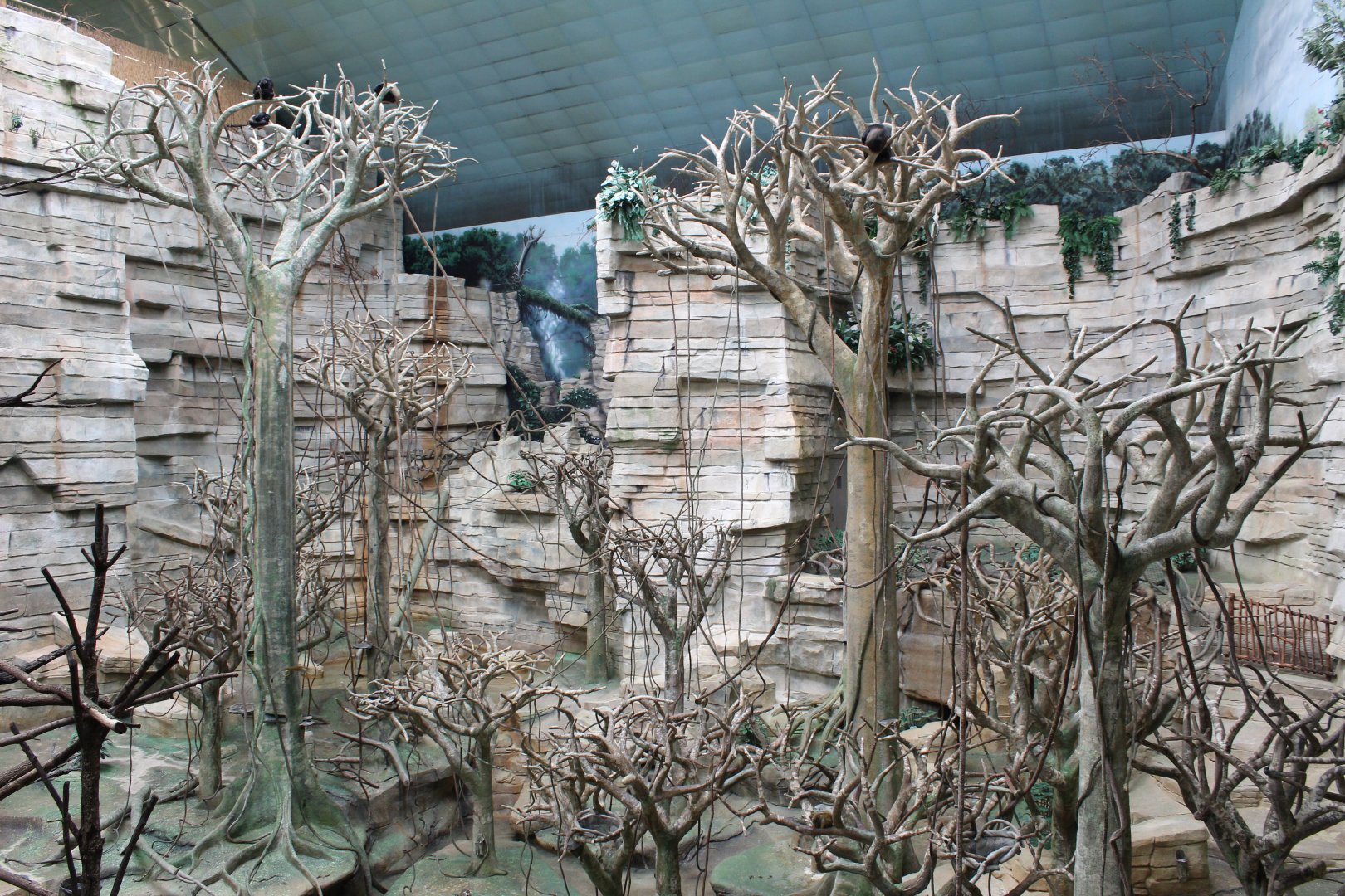 Tropic World - South America Overview